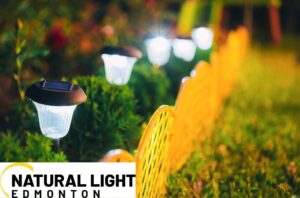Enhance Your Curb Appeal with These Outdoor Lighting Trends
